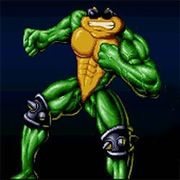 Battletoads in Battlemaniacs