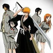 Bleach Great Fight