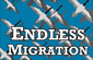 Endless Migration