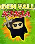 Hidden Valley Ninja