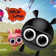 Ninja Land