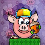 Piggy Wiggy Seasons