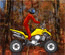 Quad Extreme Racer