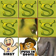 shrek memory