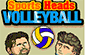 Sports Heads: Volleyball