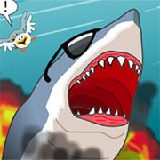 Sydney Shark Rampage