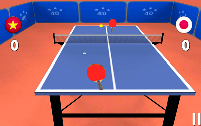 Table Tennis Pro