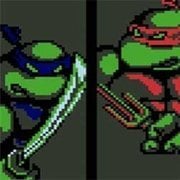 Teenage Mutant Ninja Turtles (NES)