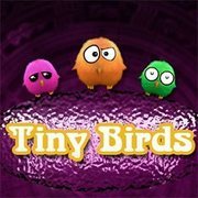 Tiny Birds