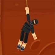 Ultimate Ninja Swing