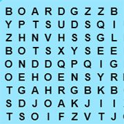 Wacky Wordsearch