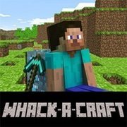 Whack A Craft